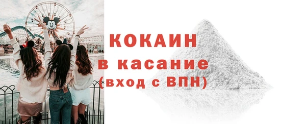 гашик Новодвинск