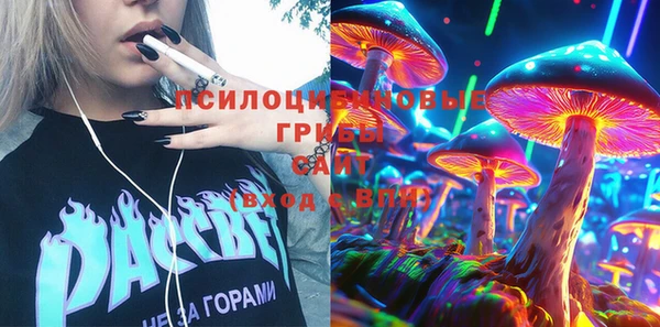 mdma Новозыбков