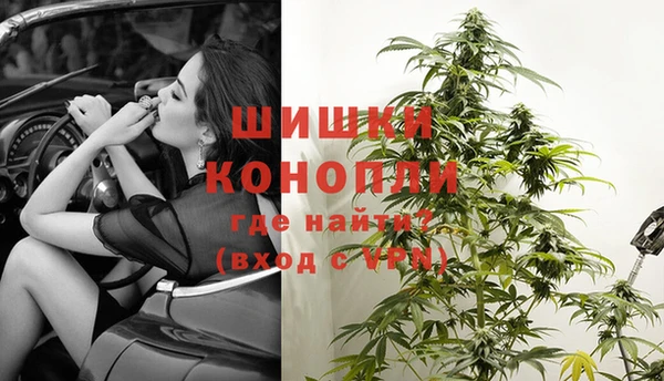 гашик Новодвинск