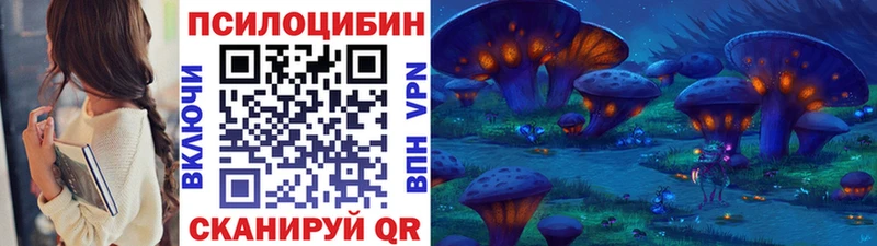 Псилоцибиновые грибы прущие грибы  ОМГ ОМГ зеркало  Тайшет 