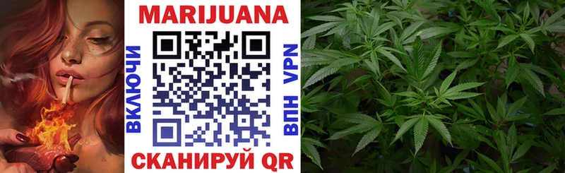 где купить наркотик  Тайшет  Бошки Шишки OG Kush 